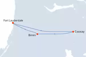 Celebrity Reflection